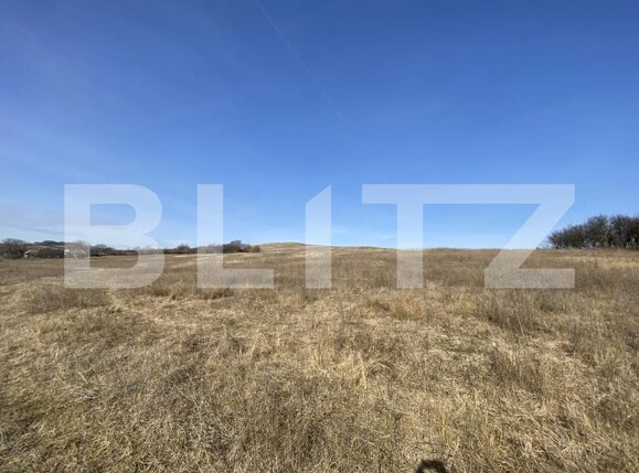 Teren de vânzare Recea - 166612TV | BLITZ Zalău | Poza4