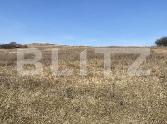 Teren de vânzare Recea - 166612TV | BLITZ Zalău | Poza1