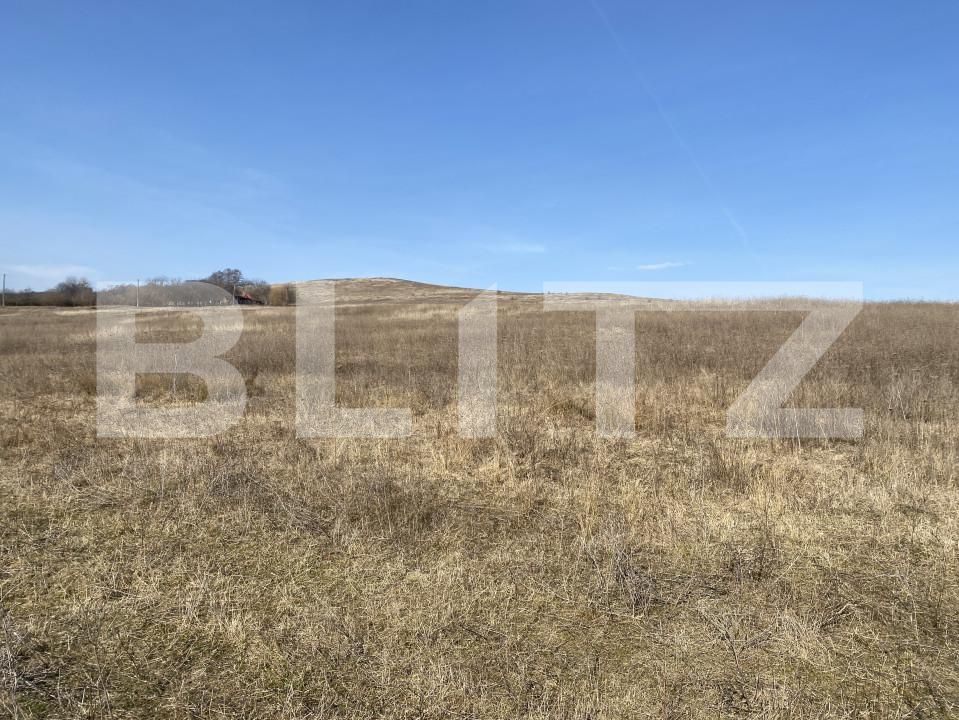 Teren de vânzare Recea - 166612TV | BLITZ Zalău | Poza2