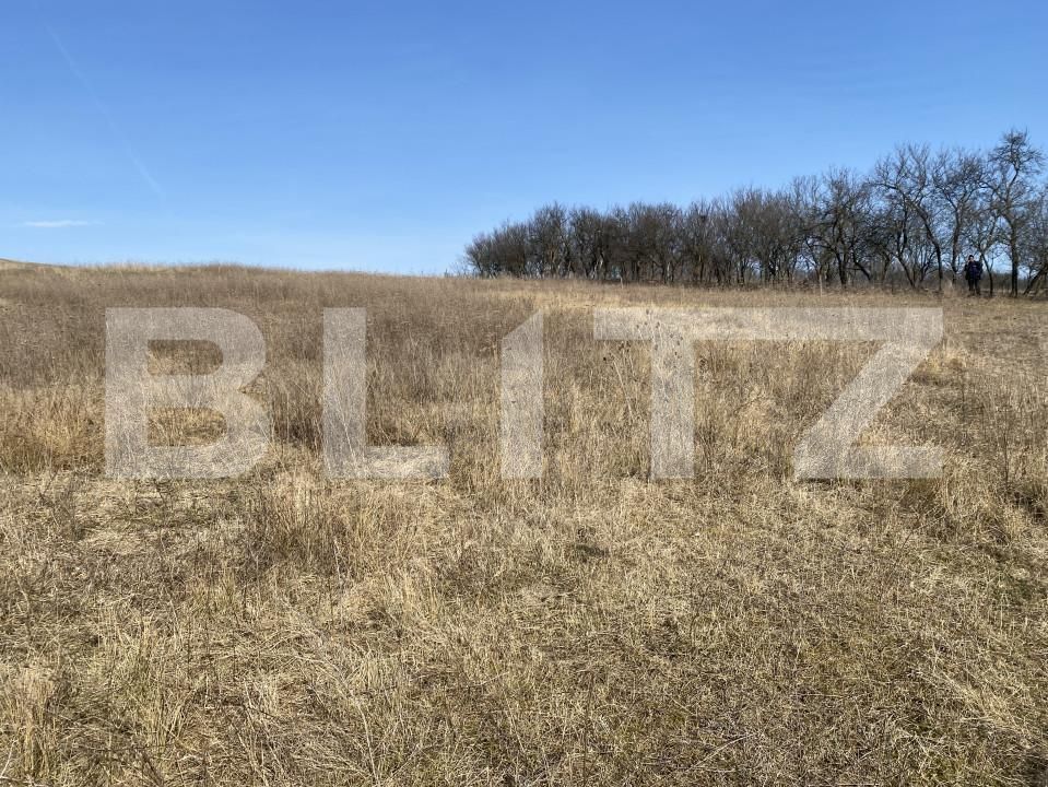 Teren de vânzare Recea - 166612TV | BLITZ Zalău | Poza9