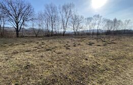 Teren intravilan de vanzare, 5300 mp, zona Industriala