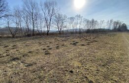 Teren intravilan de vanzare, 5300 mp, zona Industriala