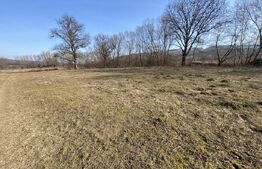 Teren intravilan de vanzare, 5300 mp, zona Industriala