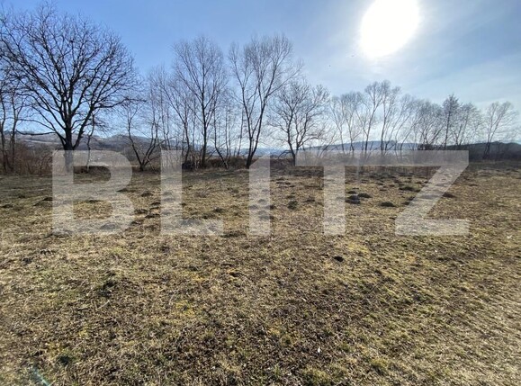 Teren de vânzare Nord-Vest - 166637TV | BLITZ Zalău | Poza1