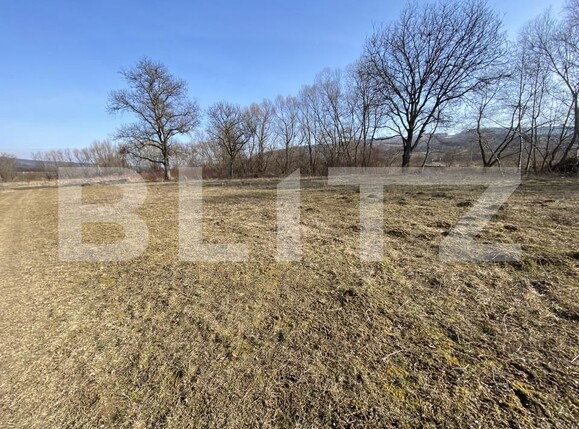 Teren de vânzare Nord-Vest - 166637TV | BLITZ Zalău | Poza3