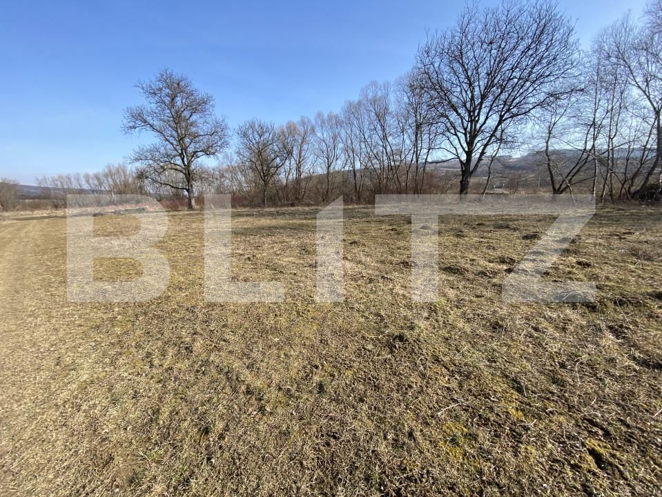 Teren de vânzare Nord-Vest - 166637TV | BLITZ Zalău | Poza3