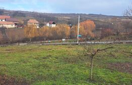 Teren intravilan, in suprafata de 1250mp.