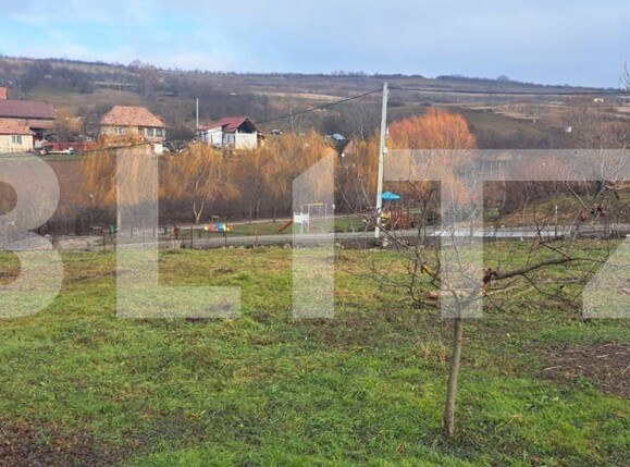Teren de vânzare Criseni - 167163TV | BLITZ Zalău | Poza1