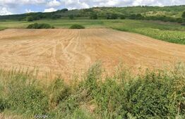 Teren intravilan la strada principala