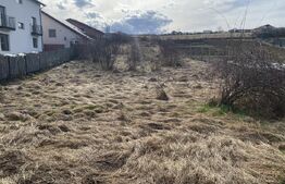 Teren intravilan in suprafata  de 1000 mp, zona Aghires