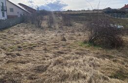 Teren intravilan in suprafata  de 1000 mp, zona Aghires