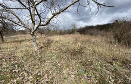 Teren intravilan in suprafata  de 2000 mp, zona Episcopiei
