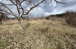 Teren intravilan in suprafata  de 2000 mp, zona Episcopiei