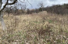 Teren intravilan in suprafata  de 2000 mp, zona Episcopiei