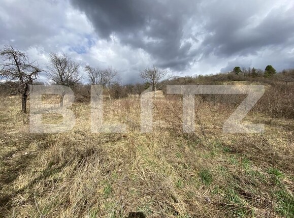 Teren de vânzare Exterior-Sud - 167316TV | BLITZ Zalău | Poza2
