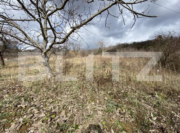 Teren de vânzare Exterior-Sud - 167316TV | BLITZ Zalău | Poza3