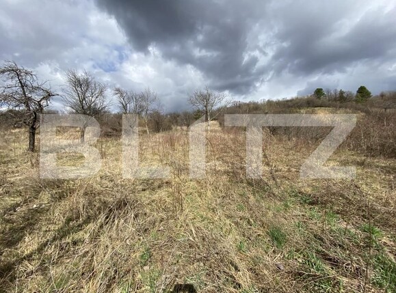 Teren de vânzare Exterior-Sud - 167316TV | BLITZ Zalău | Poza1
