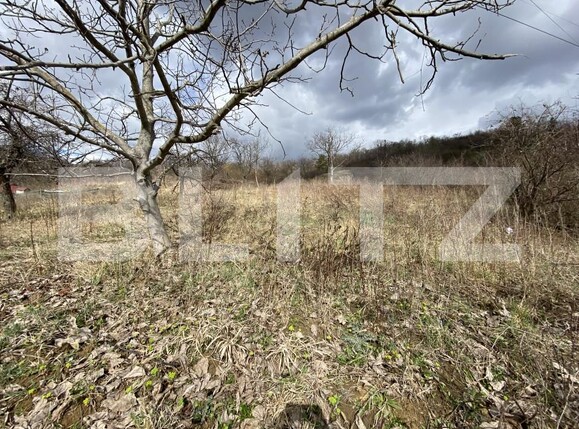 Teren de vânzare Exterior-Sud - 167316TV | BLITZ Zalău | Poza4