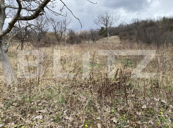 Teren de vânzare Exterior-Sud - 167316TV | BLITZ Zalău | Poza6