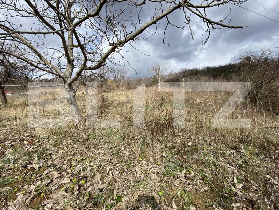 Teren de vânzare Exterior-Sud - 167316TV | BLITZ Zalău | Poza3