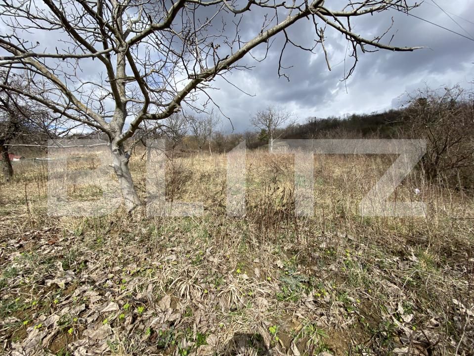 Teren de vânzare Exterior-Sud - 167316TV | BLITZ Zalău | Poza4