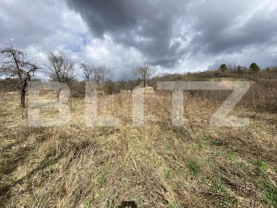 Teren de vânzare Exterior-Sud - 167316TV | BLITZ Zalău | Poza5