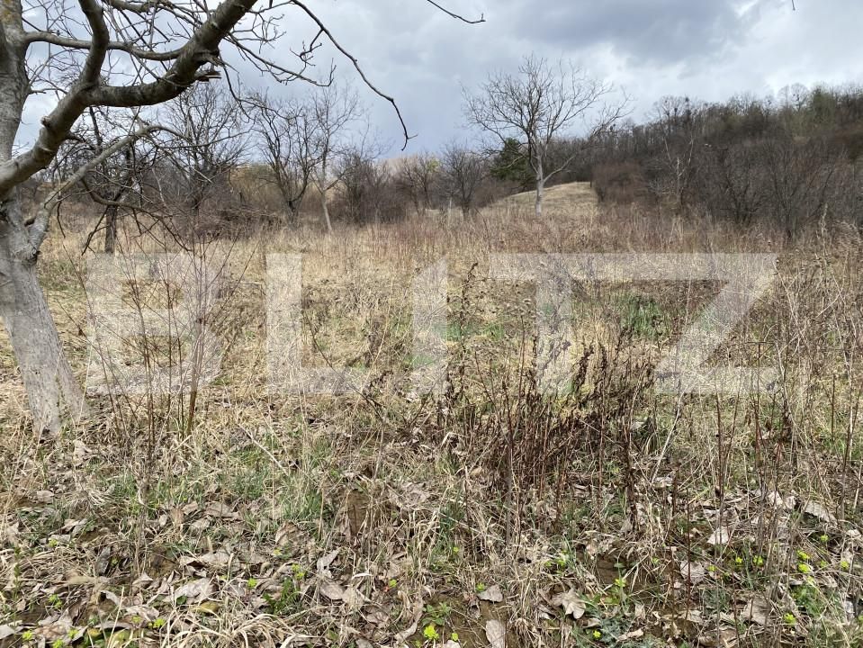 Teren de vânzare Exterior-Sud - 167316TV | BLITZ Zalău | Poza4