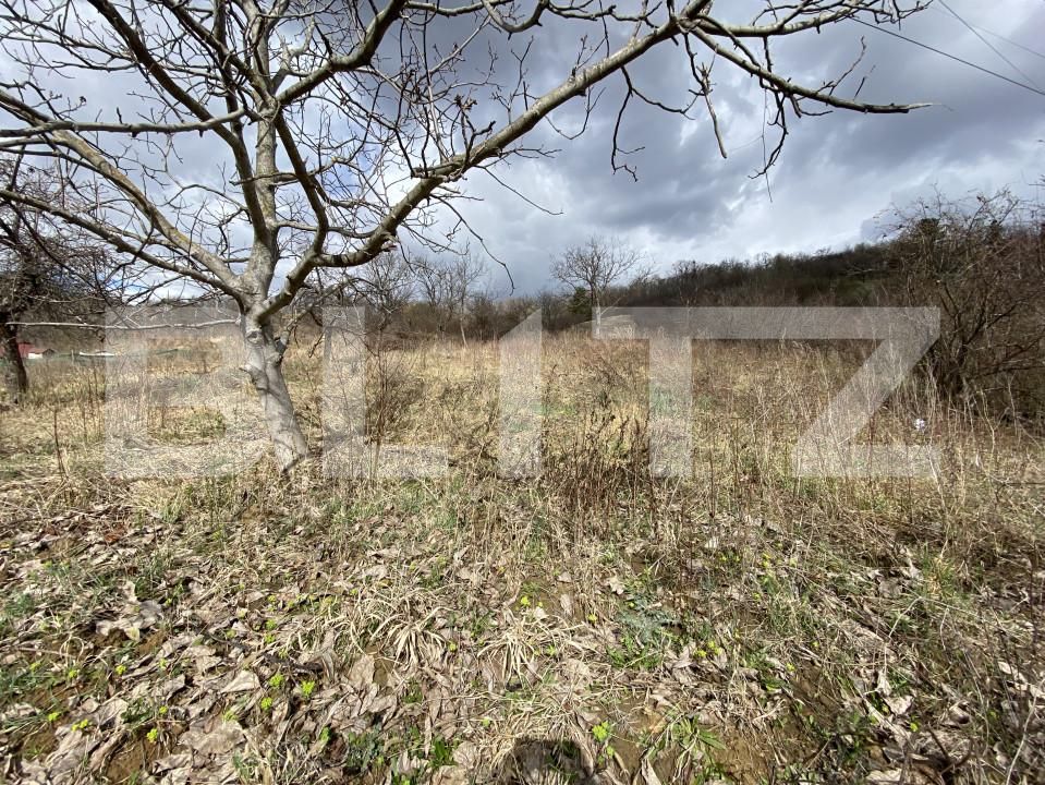 Teren de vânzare Exterior-Sud - 167316TV | BLITZ Zalău | Poza3