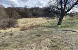 Teren extravilan in suprafata de 7500 mp la poalele Mesesului