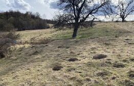 Teren extravilan in suprafata de 7500 mp la poalele Mesesului