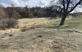 Teren extravilan in suprafata de 7500 mp la poalele Mesesului