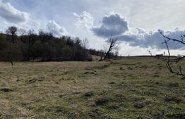 Teren extravilan in suprafata de 7500 mp la poalele Mesesului