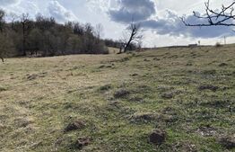 Teren extravilan in suprafata de 7500 mp la poalele Mesesului