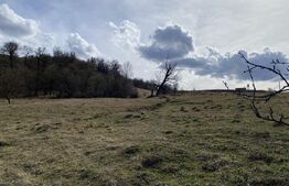 Teren extravilan in suprafata de 7500 mp la poalele Mesesului