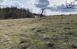 Teren extravilan in suprafata de 7500 mp la poalele Mesesului