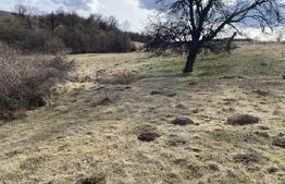 Teren extravilan in suprafata de 7500 mp la poalele Mesesului