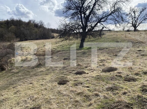 Teren de vânzare Exterior-Sud - 167317TV | BLITZ Zalău | Poza1