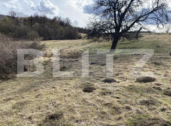 Teren de vânzare Exterior-Sud - 167317TV | BLITZ Zalău | Poza2