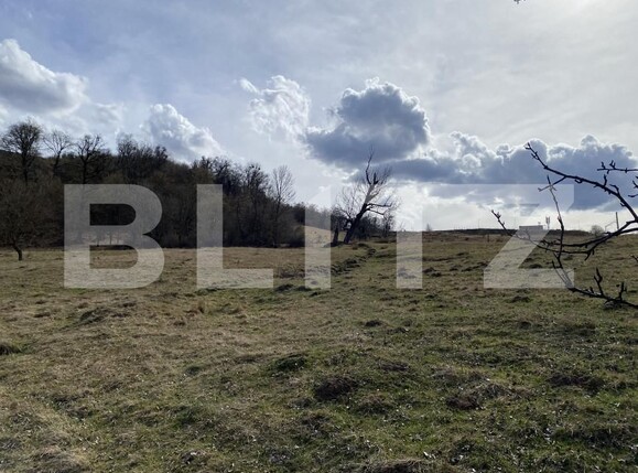 Teren de vânzare Exterior-Sud - 167317TV | BLITZ Zalău | Poza7