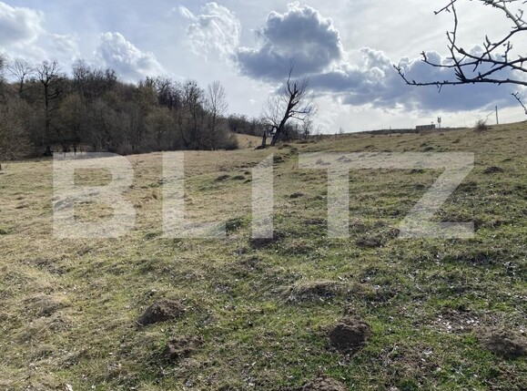 Teren de vânzare Exterior-Sud - 167317TV | BLITZ Zalău | Poza6