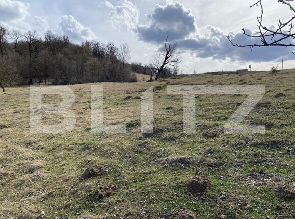 Teren de vânzare Exterior-Sud - 167317TV | BLITZ Zalău | Poza5