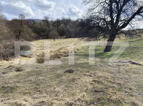 Teren de vânzare Exterior-Sud - 167317TV | BLITZ Zalău | Poza3