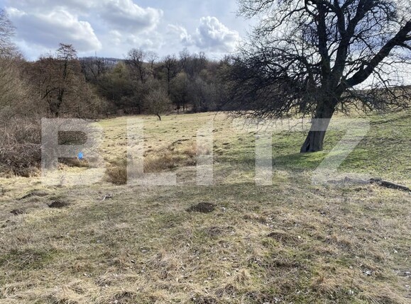 Teren de vânzare Exterior-Sud - 167317TV | BLITZ Zalău | Poza4