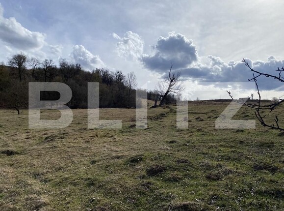 Teren de vânzare Exterior-Sud - 167317TV | BLITZ Zalău | Poza8