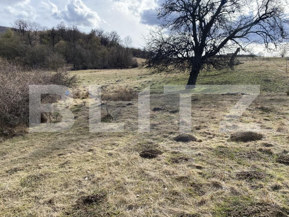 Teren de vânzare Exterior-Sud - 167317TV | BLITZ Zalău | Poza2