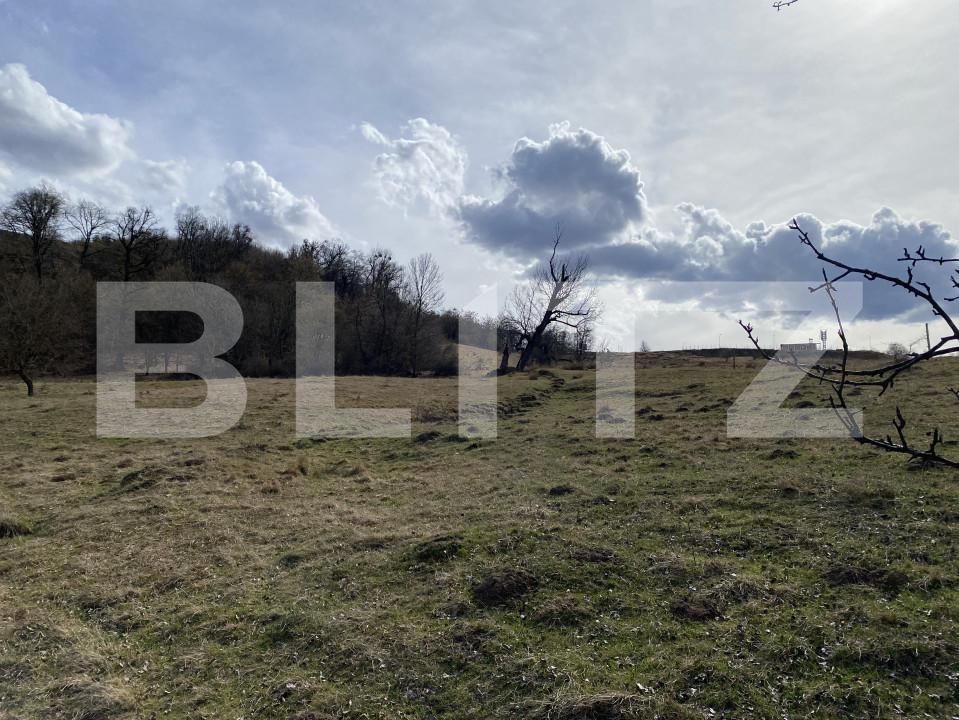 Teren de vânzare Exterior-Sud - 167317TV | BLITZ Zalău | Poza7