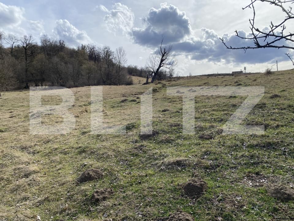 Teren de vânzare Exterior-Sud - 167317TV | BLITZ Zalău | Poza6