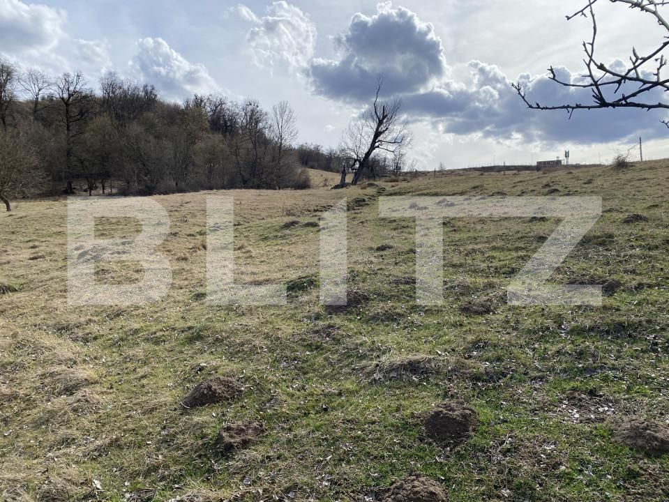 Teren de vânzare Exterior-Sud - 167317TV | BLITZ Zalău | Poza5