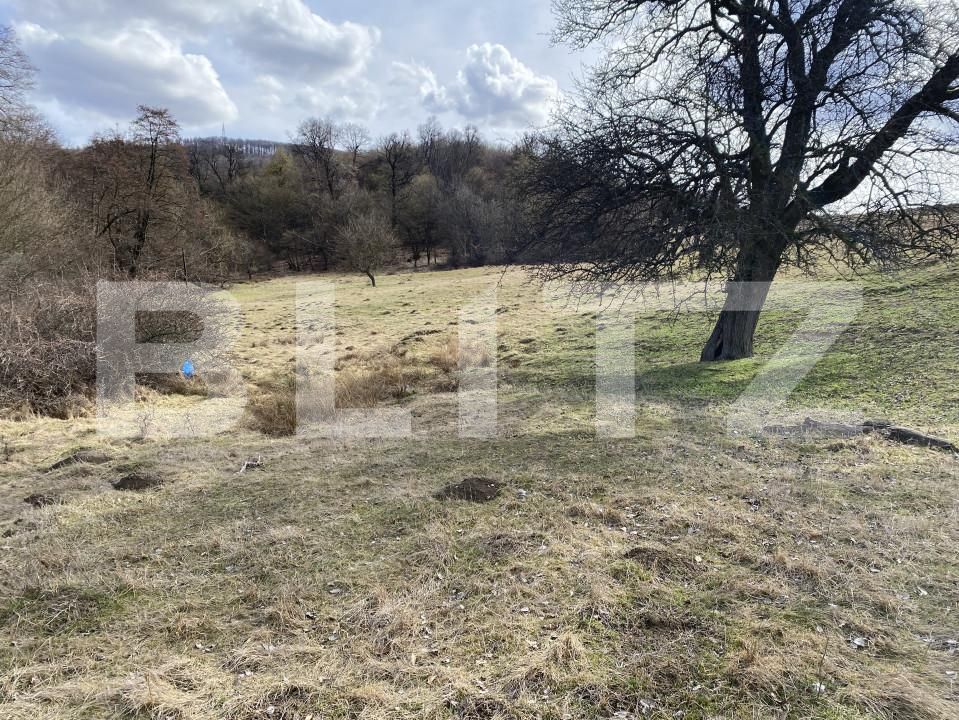 Teren de vânzare Exterior-Sud - 167317TV | BLITZ Zalău | Poza4