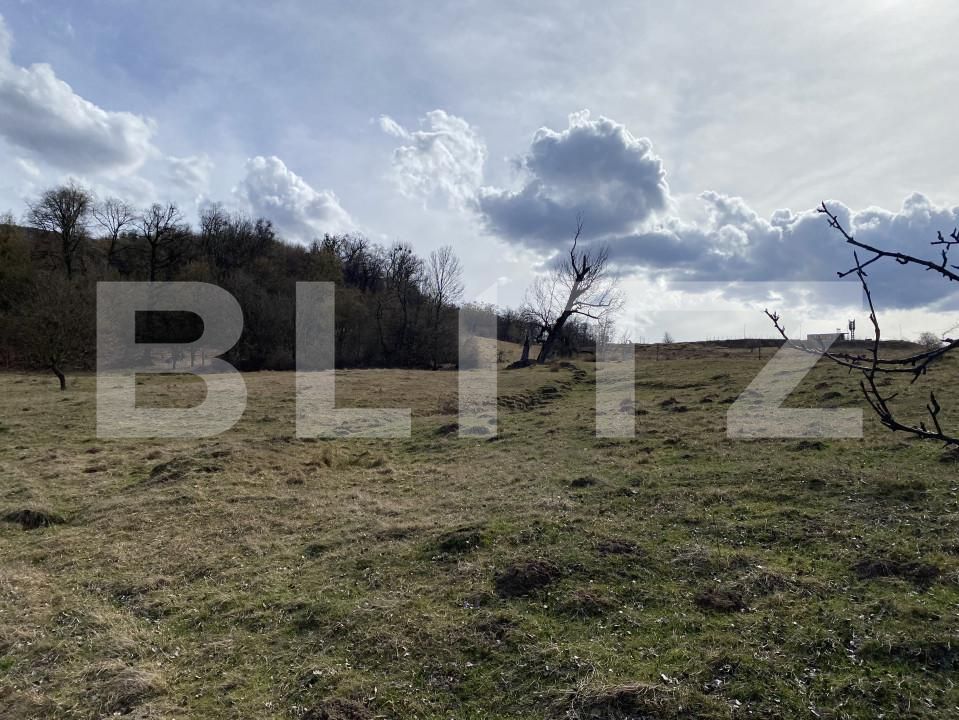 Teren de vânzare Exterior-Sud - 167317TV | BLITZ Zalău | Poza8